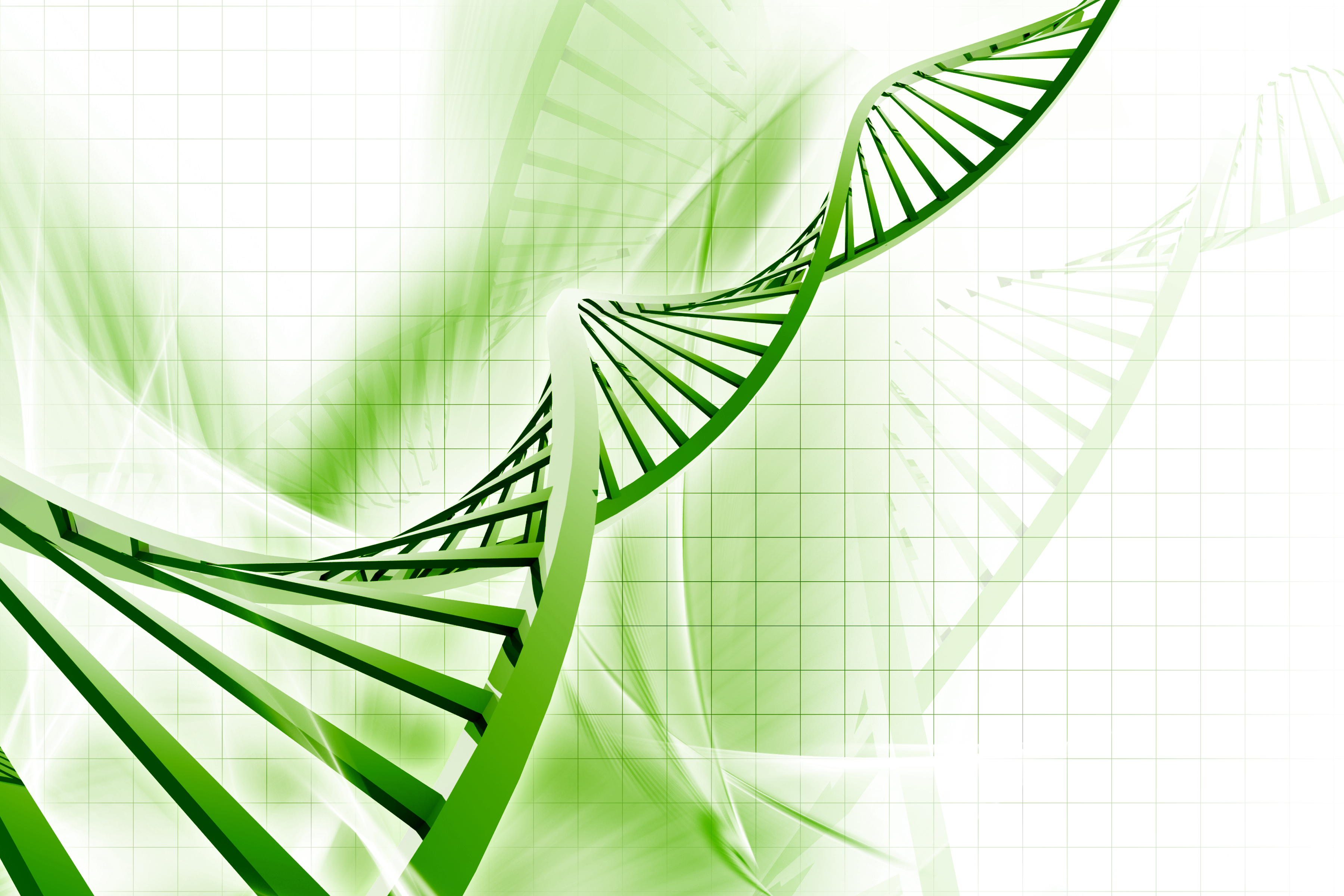 ¿Cómo se realiza un estudio de ADN? 