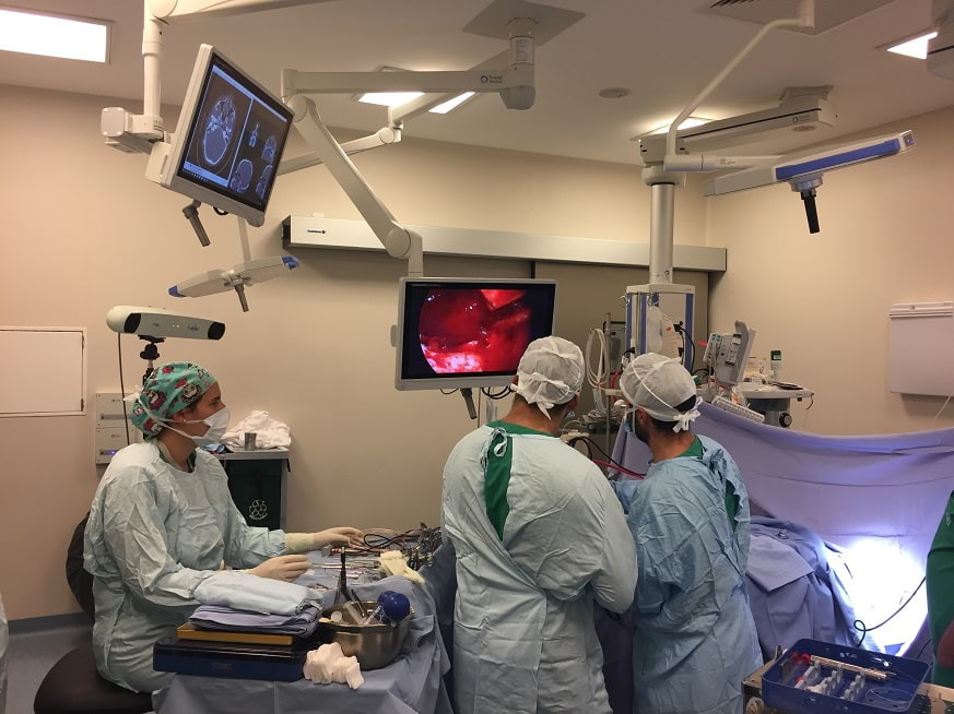 Exitosa resección endoscópica de tumor intracraneano gigante