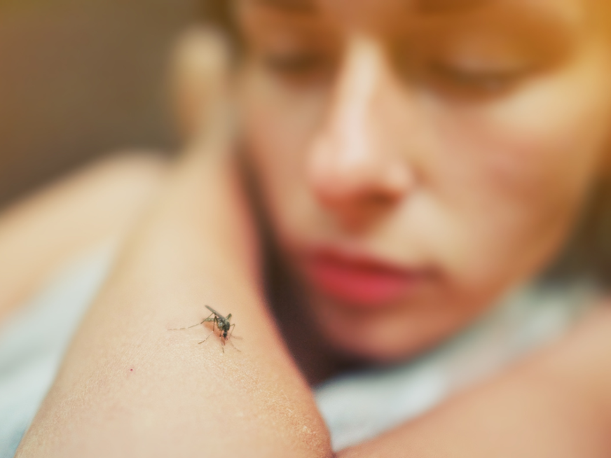 Dengue: Medidas preventivas para evitar la propagación