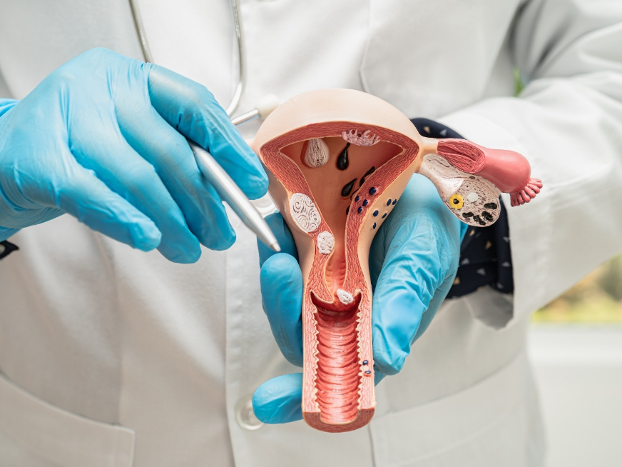 Microbiota, esteroides sexuales y disfunción endócrino ginecológica.