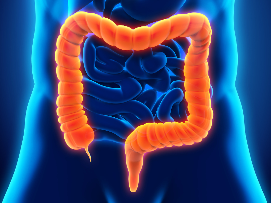 Concurrencia en Coloproctología